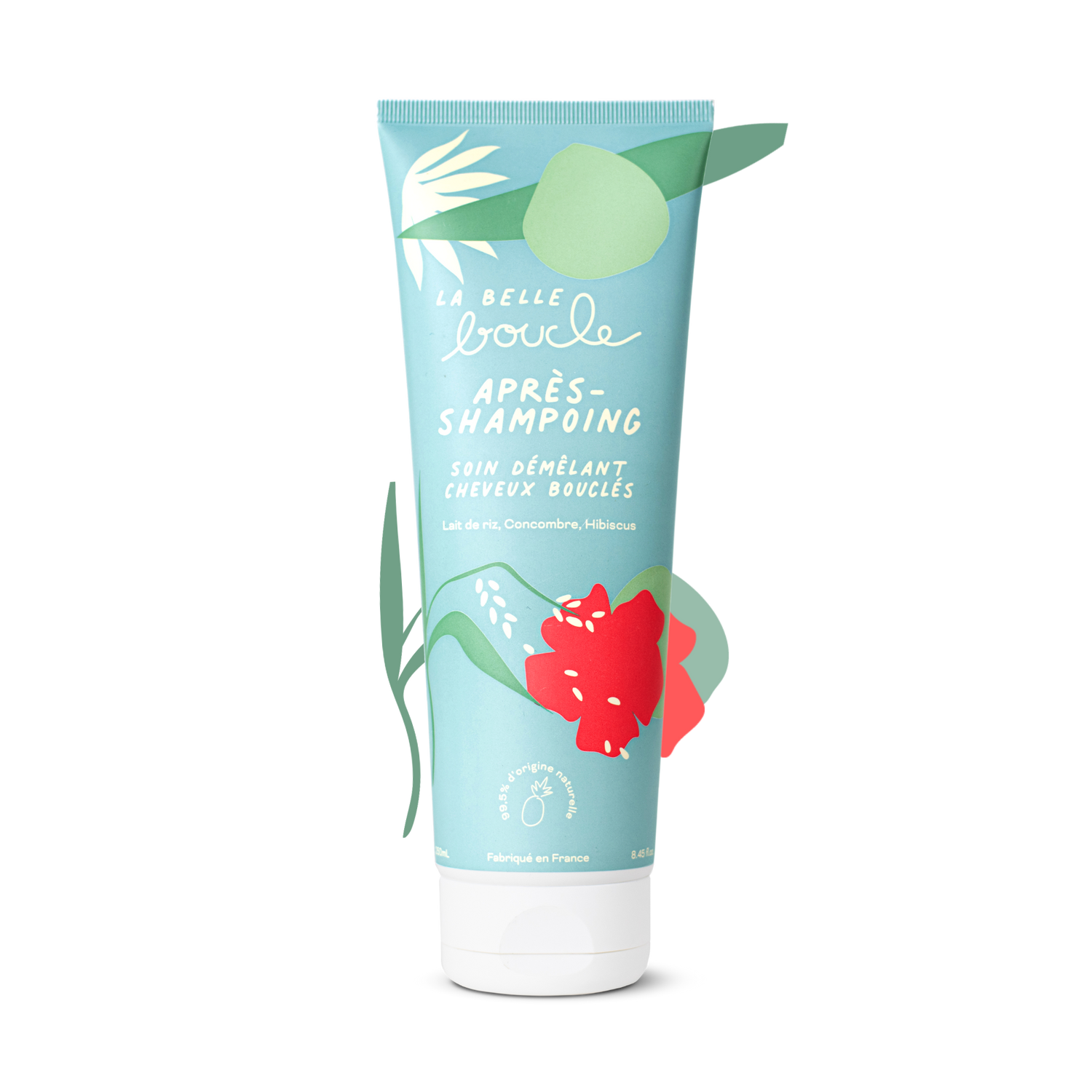 Après-Shampoing Soin Démêlant