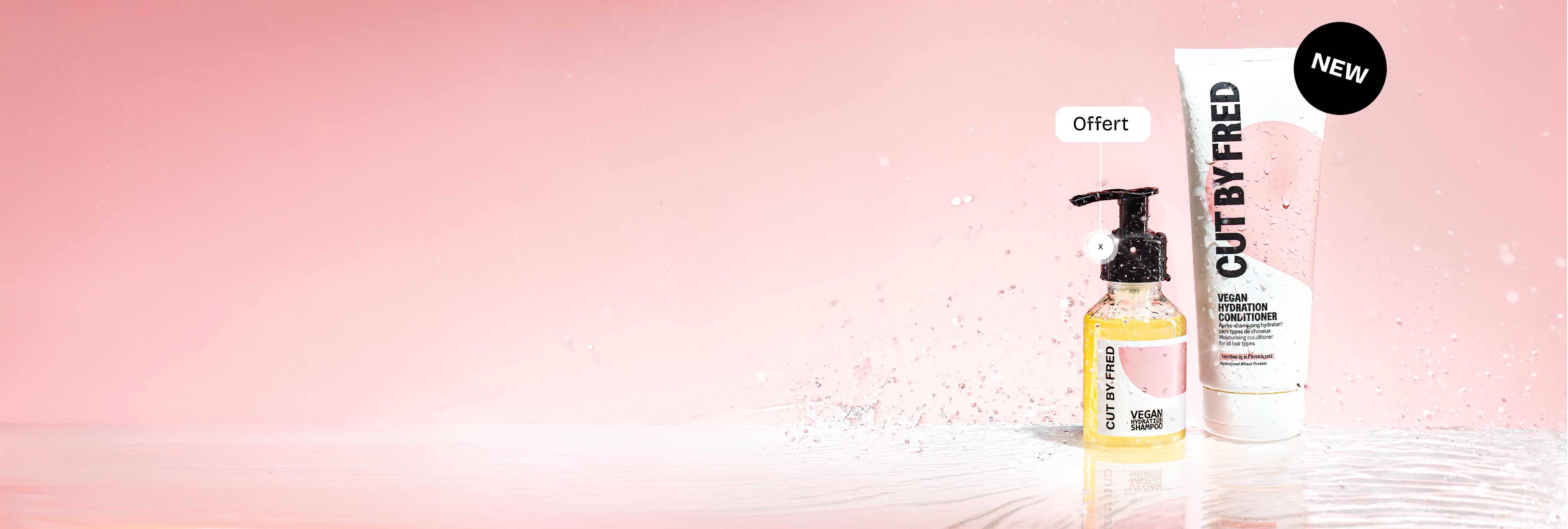 Après-Shampoing Hydratant et son Shampoing offert