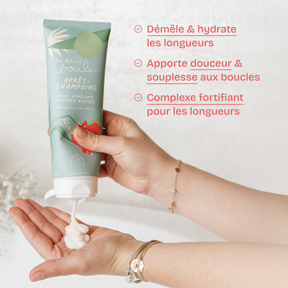 Après-Shampoing Soin Démêlant