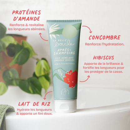 Après-Shampoing Soin Démêlant