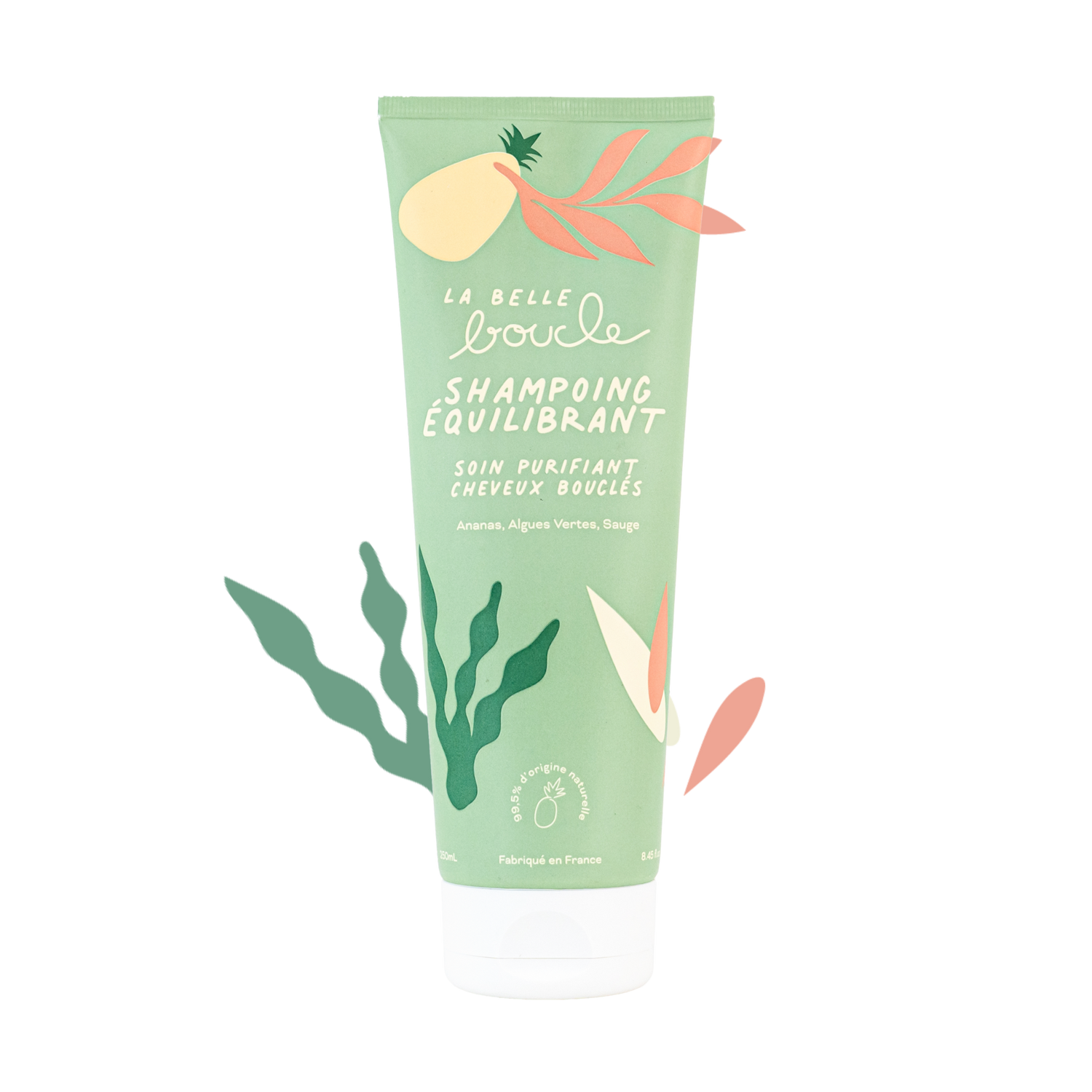 Shampoing Équilibrant Soin Purifiant