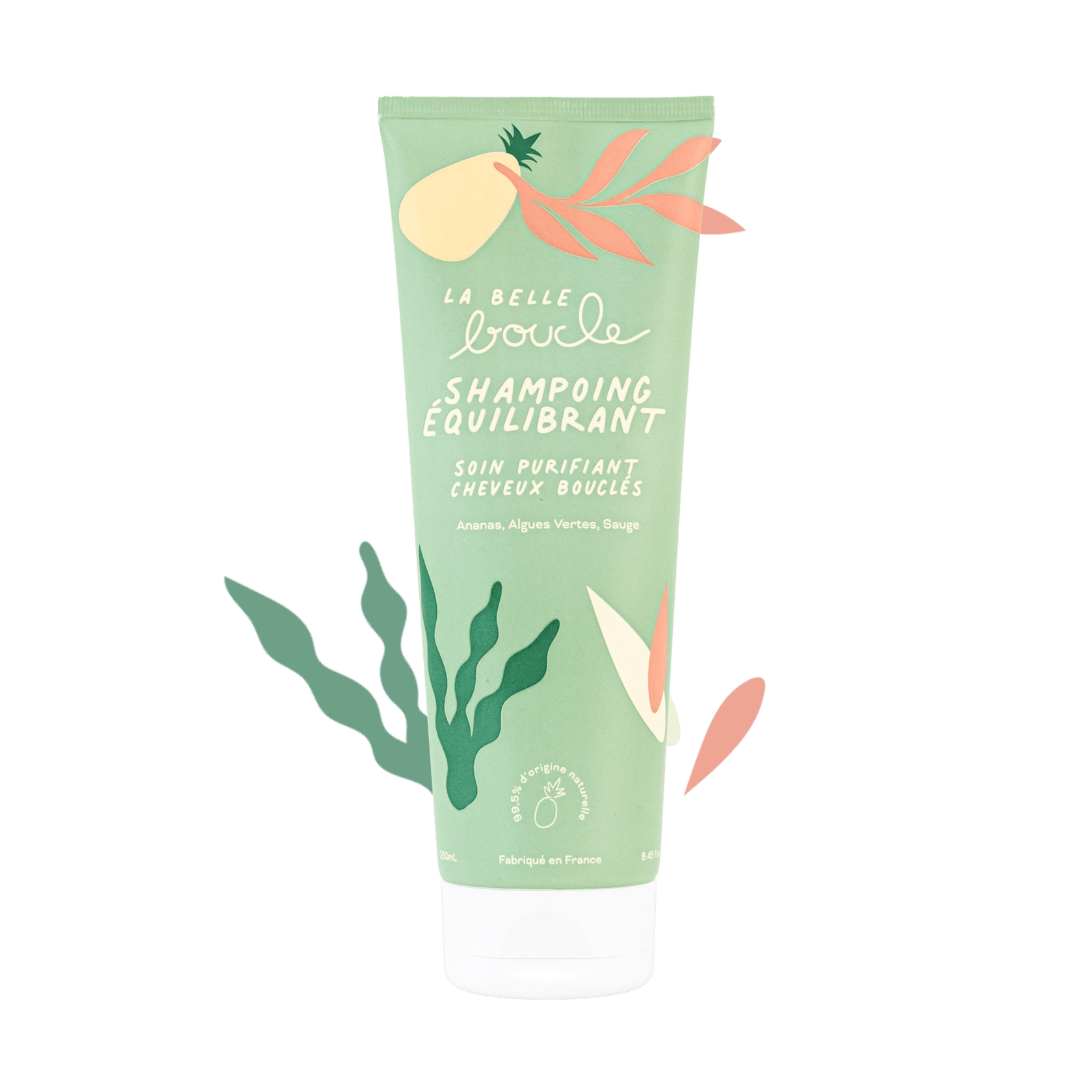 Shampoing Équilibrant Soin Purifiant - La Belle Boucle